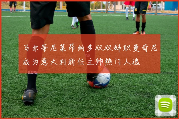 马尔蒂尼莱昂纳多双双辞职曼奇尼成为意大利新任主帅热门人选